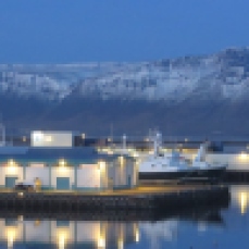 Reykjavík harbour (looking north)