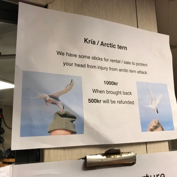Anti-Arctic Tern Poles (Notice)